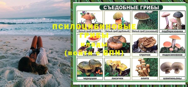 соль ск Коряжма