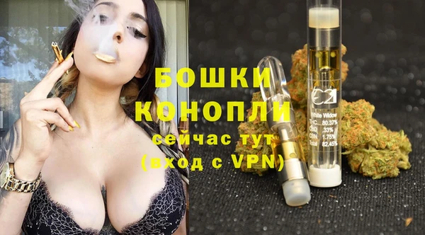 твердый Корсаков