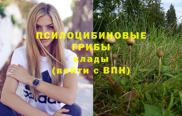 твердый Корсаков