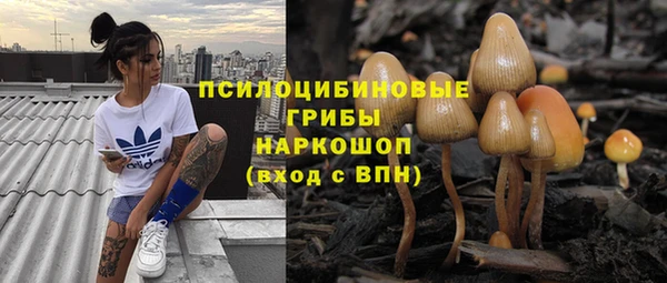 соль ск Коряжма