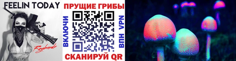 Галлюциногенные грибы MAGIC MUSHROOMS Купить Гвардейск